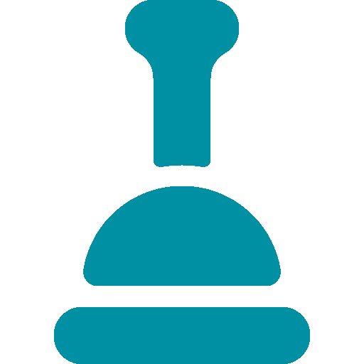 plunger